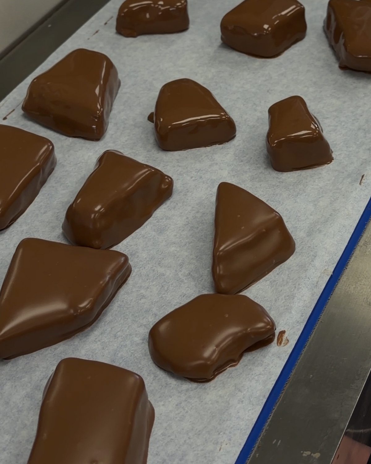 Hokey Pokey Milk Chocolate House